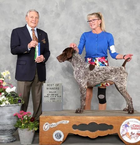 GCH CH ALLSTAR'S CALIFORNIA KID